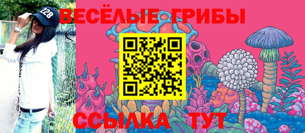 Галлюциногенные грибы GOLDEN TEACHER Петровск