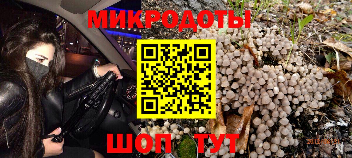Петровск  где можно купить наркотик  Вход с VPN  Псилоцибиновые грибы прущие грибы 