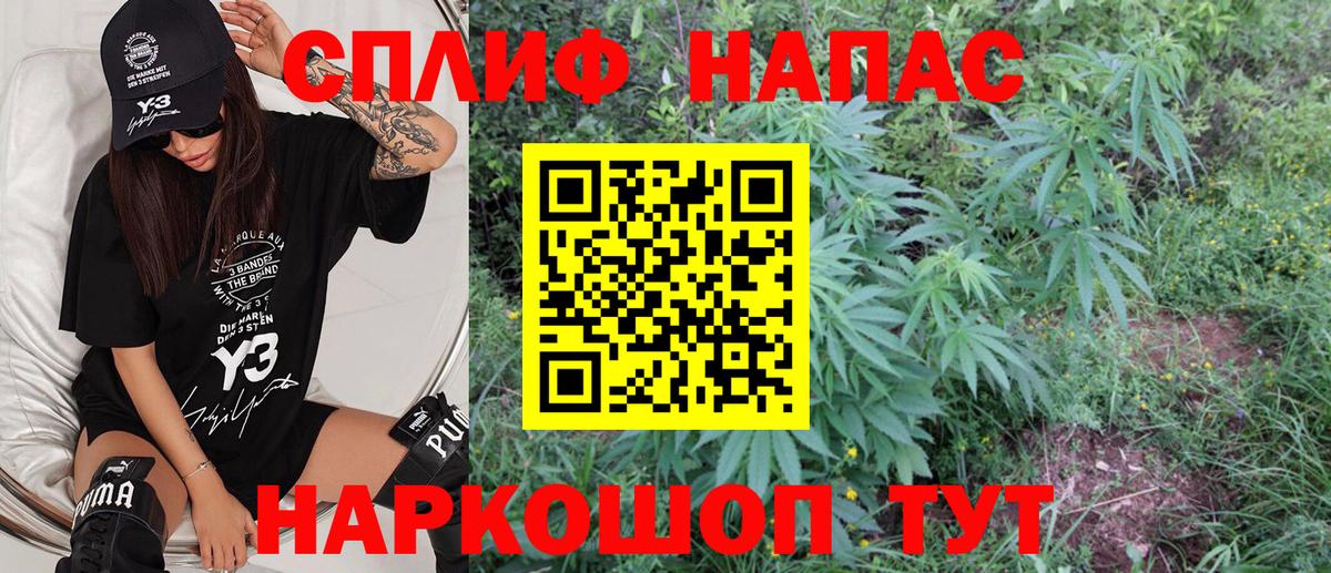 Бошки Шишки OG Kush  Канабис гибрид  Петровск  Каннабис OG Kush  Вход с VPN  Конопля семена 